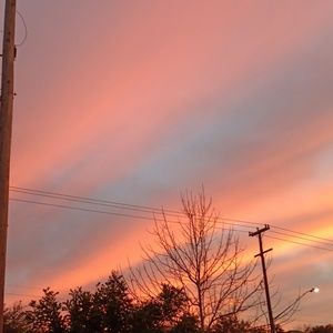 Meet your Posher, Maya